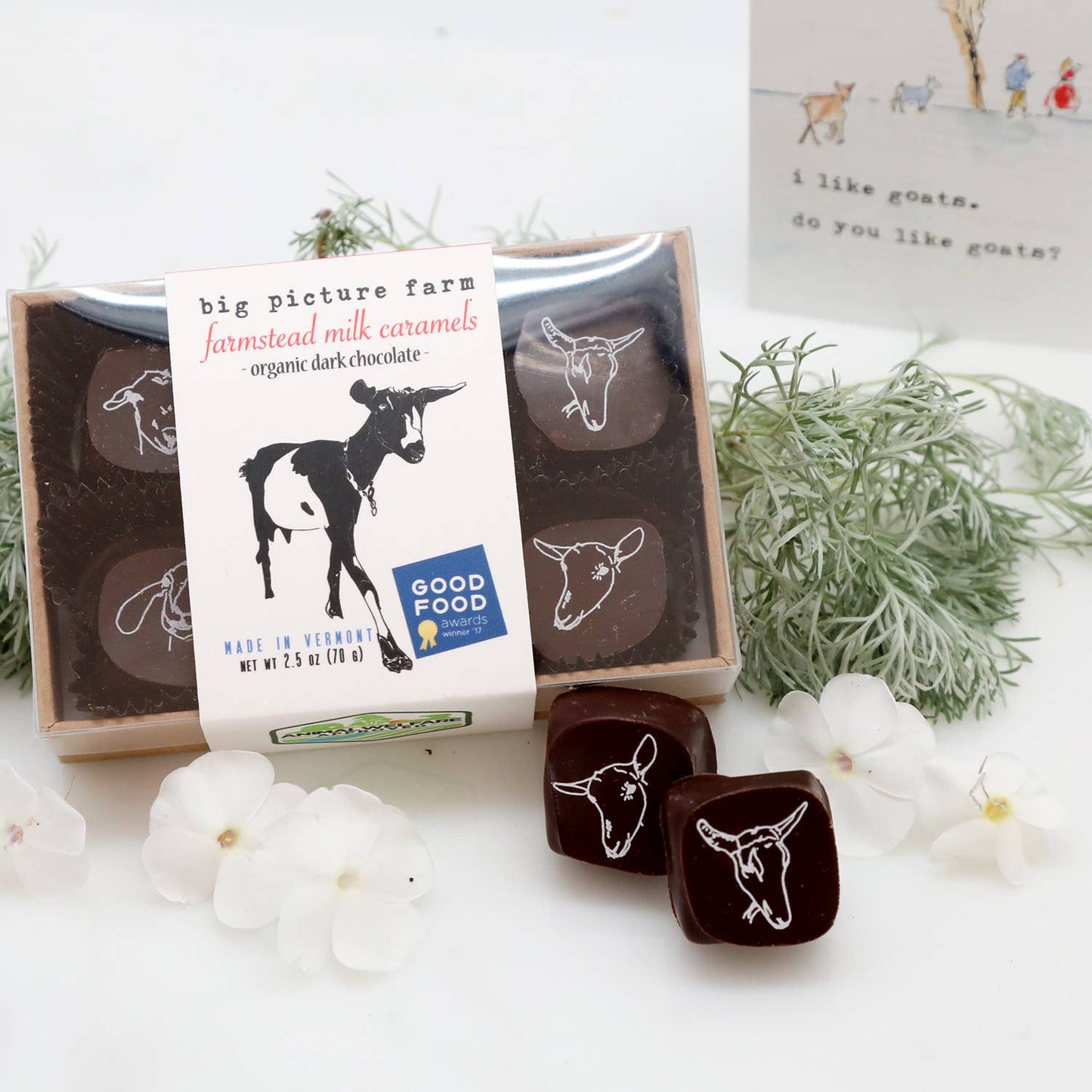 Chocolate Covered Goat Milk Caramel: 6 piece