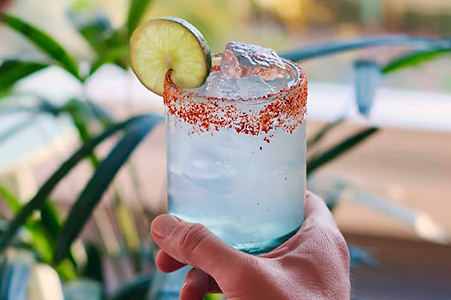 Margarita Agave Mixer