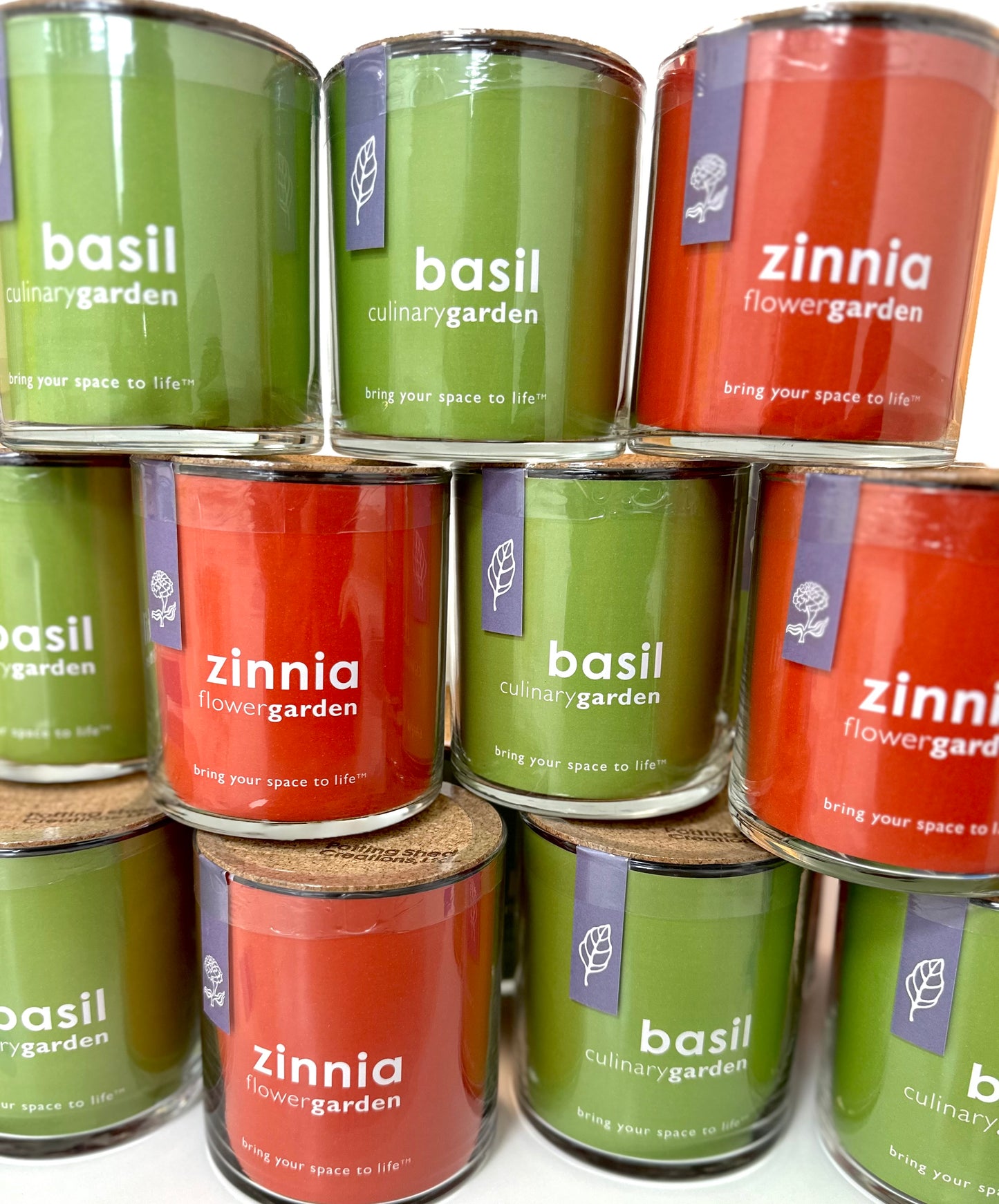 Basil Glass Culinary Essential Garden