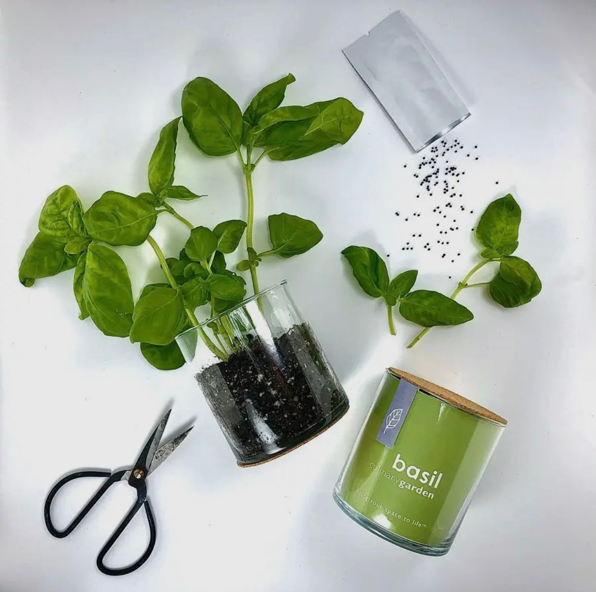 Garden Enthusiast