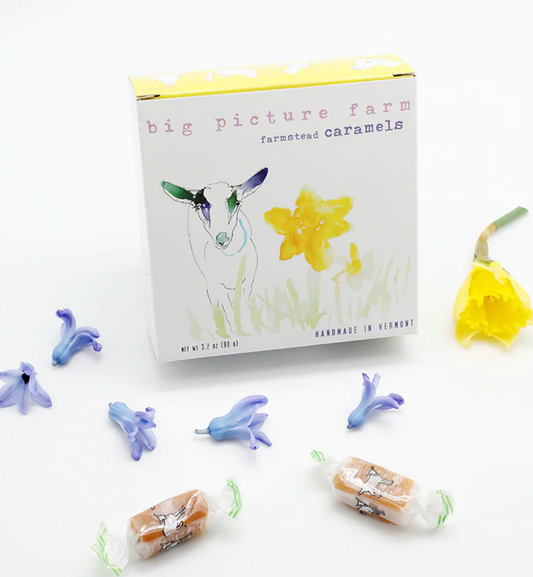 Daffodil Goat Milk Caramel Box: Sea Salt Vanilla