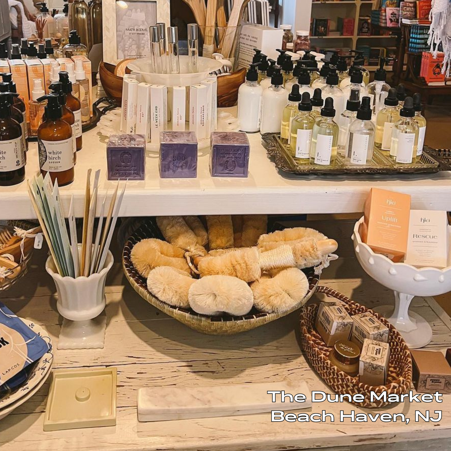 Uplift Bergamot & Peppermint Shower Steamers