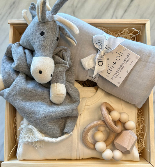 Little Comforts