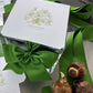 Pine & Paperwhites