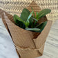 Refresh and Relax-Local delivery Only