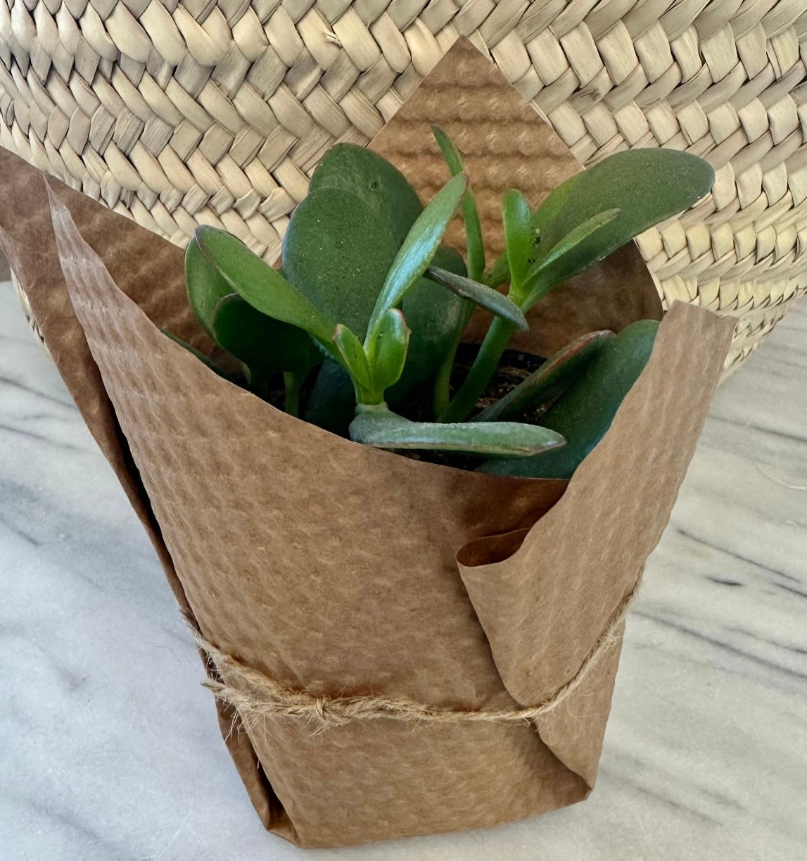 Refresh and Relax-Local delivery Only