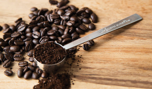 Fox Run Coffee Measure Scoop, 1-Tbsp